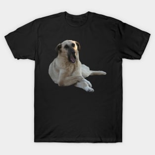 Kangal Dog Yawning Vector Cut Out T-Shirt